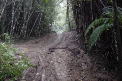 DSC00010