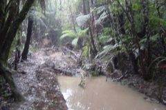 DSC00017