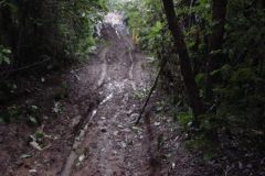 DSC00029