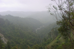 DSC00347