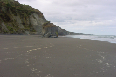 DSC00351