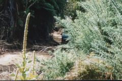PC00013
