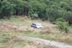 DSC00687