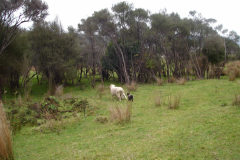 DSC00692