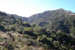 DSC00693