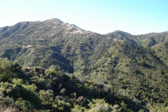 DSC00694