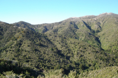 DSC00695