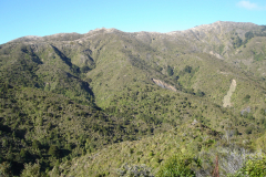 DSC00696