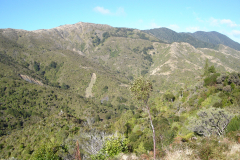DSC00697