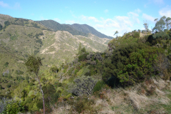 DSC00698