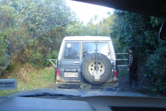 DSC00700