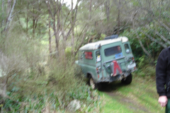 DSC00703