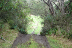 DSC00704