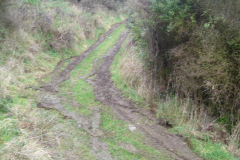 DSC00707