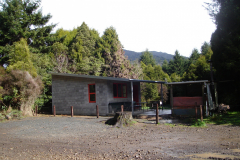 DSC00719