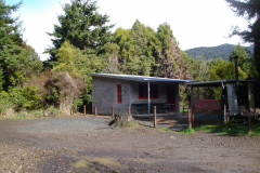 DSC00720