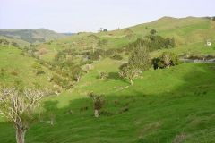 PC00021