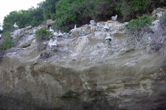 TR08419