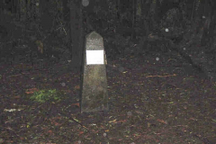 TR03315