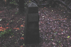 TR03316
