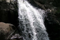 PC00008