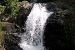 PC00009