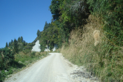 Ernies_on_the_way_home