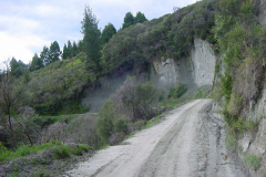 TR06318