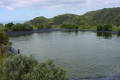 PC00009