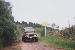 TR03501