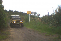 TR03502