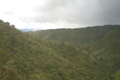 TR03505