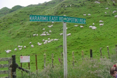 PC00016