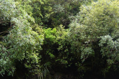 PC00024