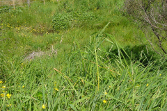 PC01005