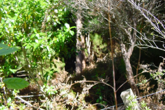 PC01018