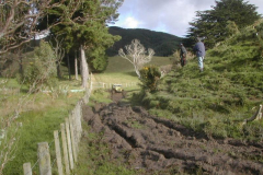 PC00008