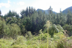 TR06414
