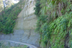 TR06416