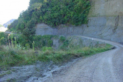 TR06417