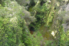 TR06419