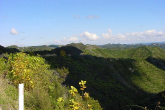 TR06424