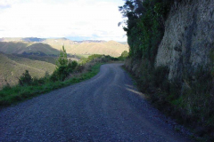 TR06908