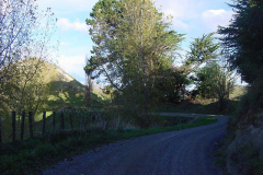 TR06910
