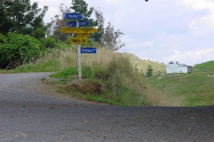 TR06509