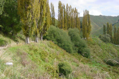 TR06513