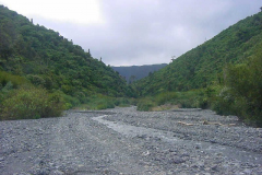 TR09111