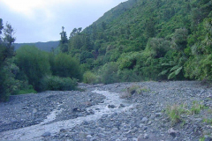 TR09118