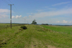 TR07204