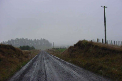 TR03203